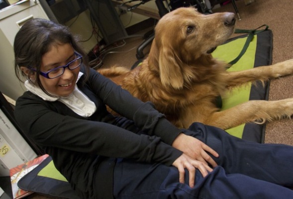 Dog speaking buttons image