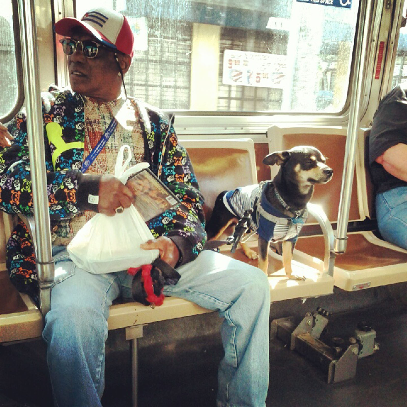 SNAP Dogs Ride Free Mission Local