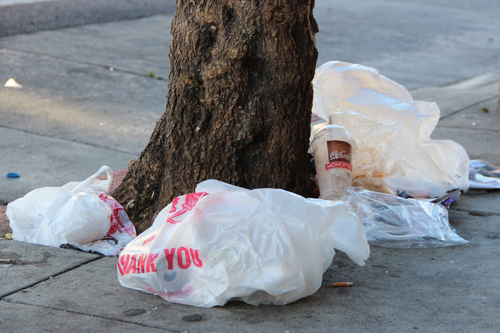 SNAP: Gone With the Wind - Mission Local, image size:1600x1067