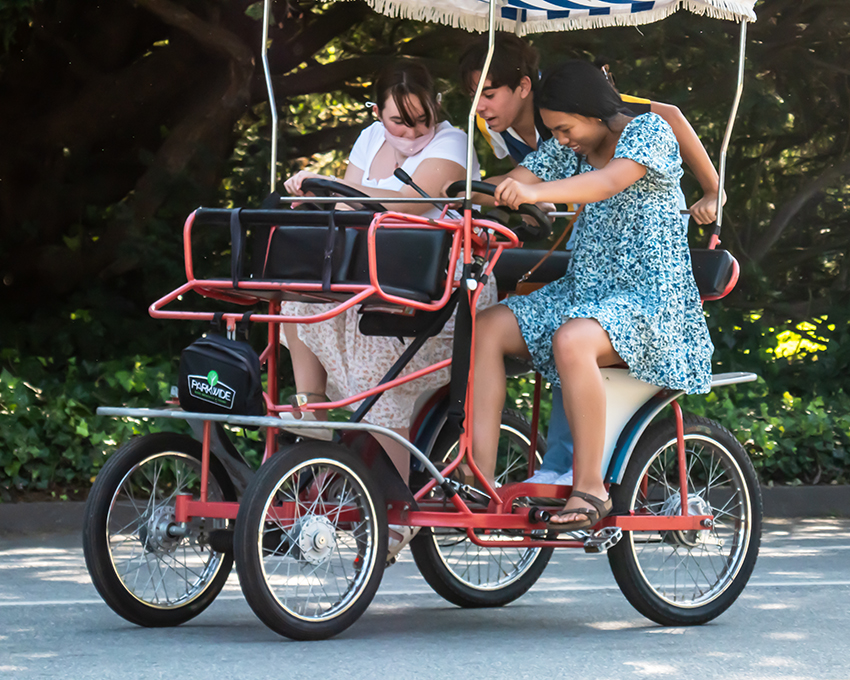 Photo Essay: Golden Gate Park during a pandemic Sunday