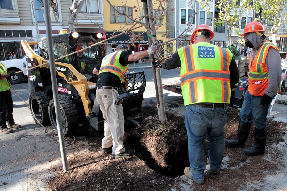 Planting a tree on 24th Street