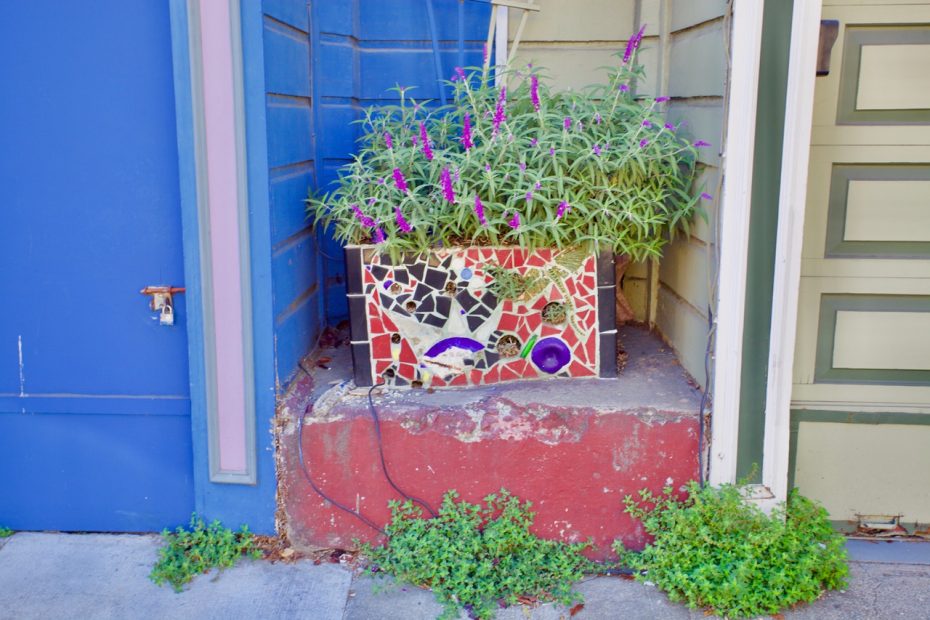small plant in a mosaic planter
