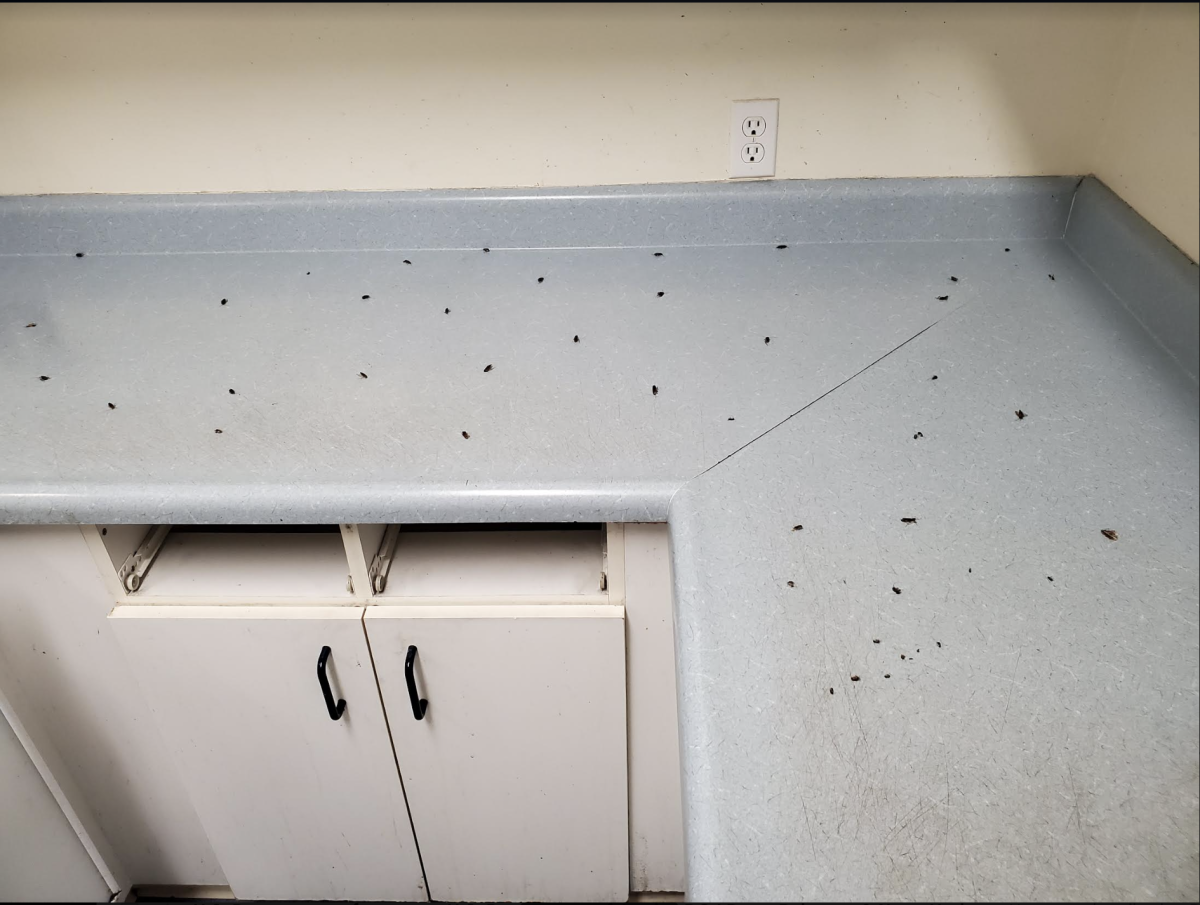 Tenants Sue Mercy Housing For Alleged uninhabitable Conditions tenants-sue-mercy-housing-for-alleged-uninhabitable-conditions