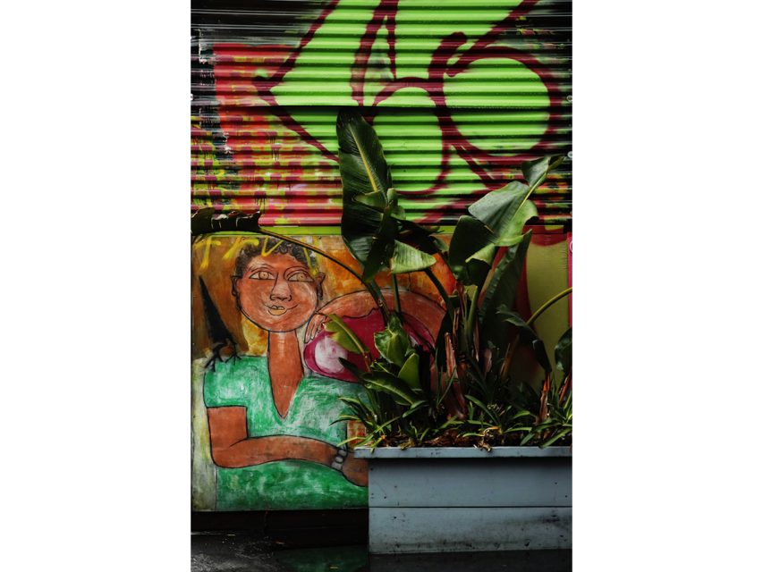A mural of a young girl near a palm.