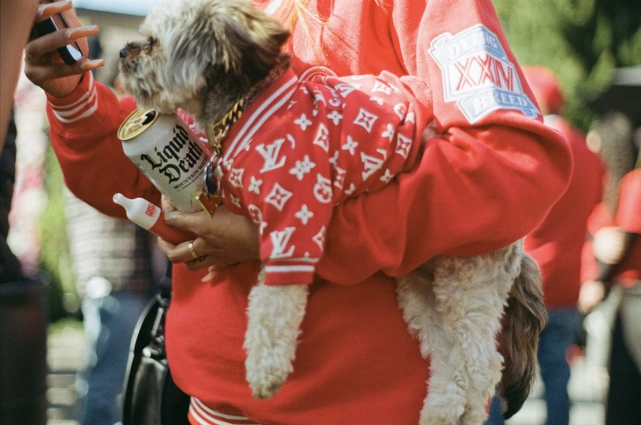 A person in a red sweatshirt holding a small dog and a can of Liquid Death