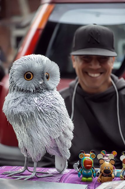An owl and a man.