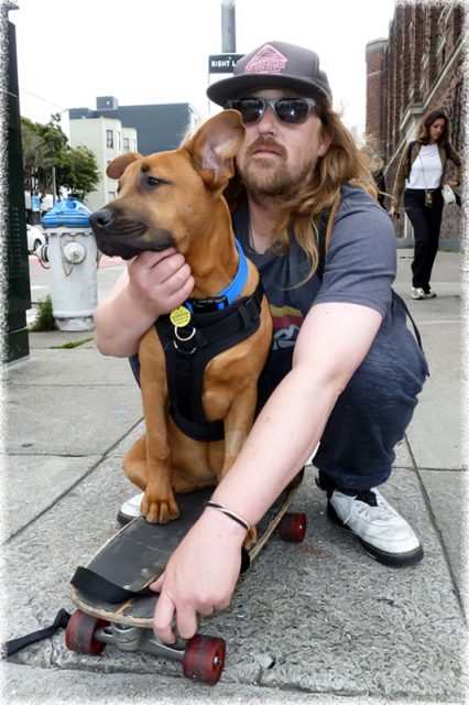 a dog with its owner and a skateboard.