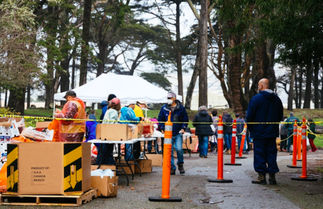 people tree box cone caution