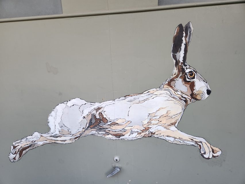 A painting of a hare on the side of a building.