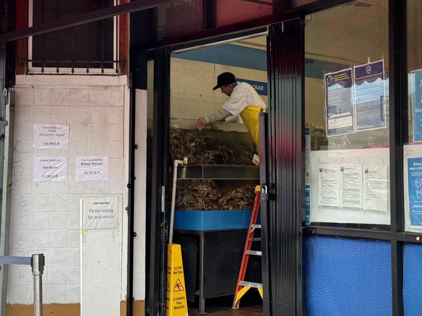 A man getting crabs out  of a tank