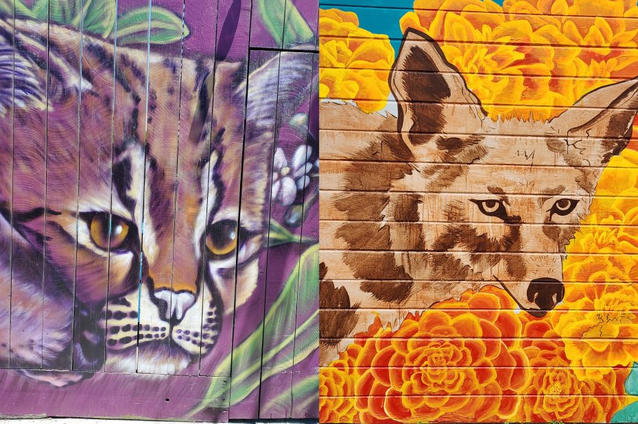 A cat and a fox are painted on the side of buildings.