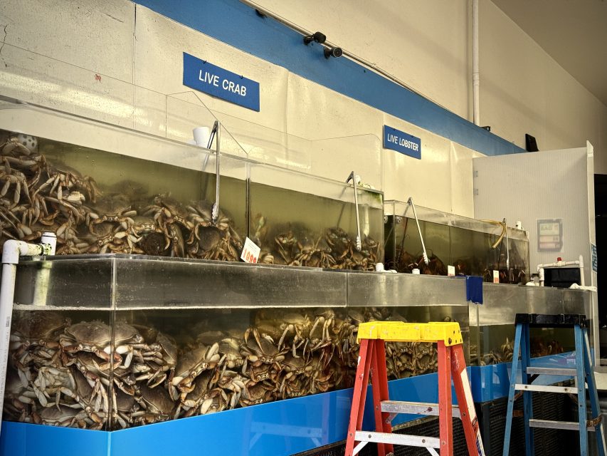 Crabs in a display case at a seafood market.