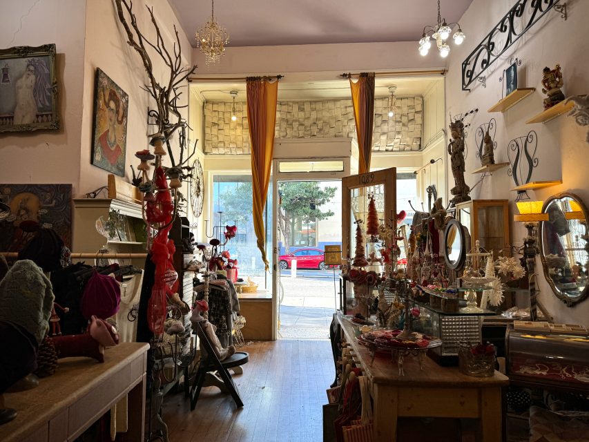 A store with a lot of items on display.