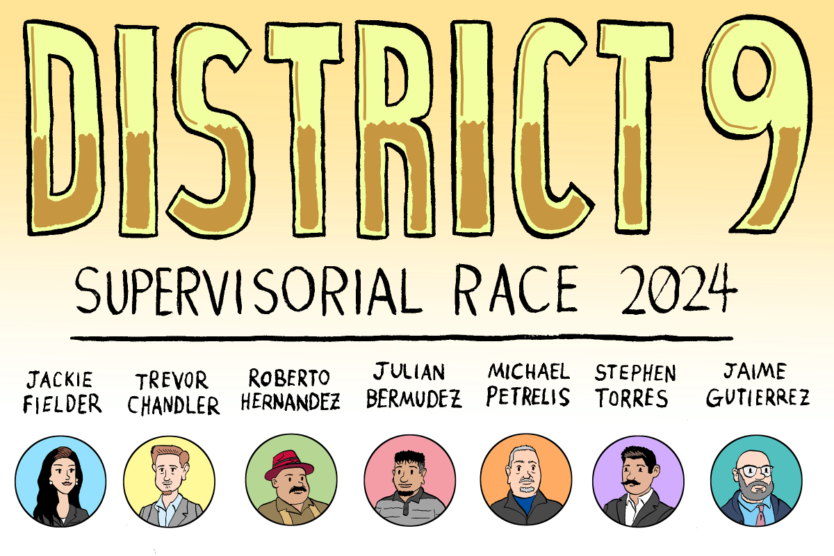 District 9 supervisory race 2020.