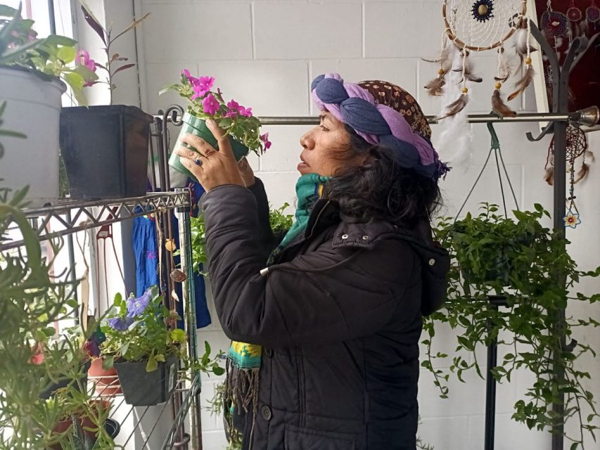 A woman in a hat, looking at plants in Dream Savers.