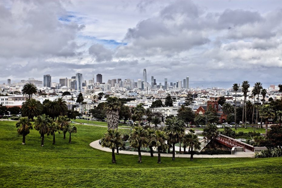 A sweeping view of a city skyline from a park with palm trees and a winding walkway.