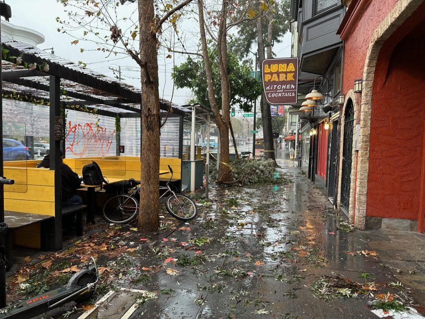 A wet urban street scene with scattered silk oak leaves and debris, bicycles, and a sign for louie's gen-gen room.