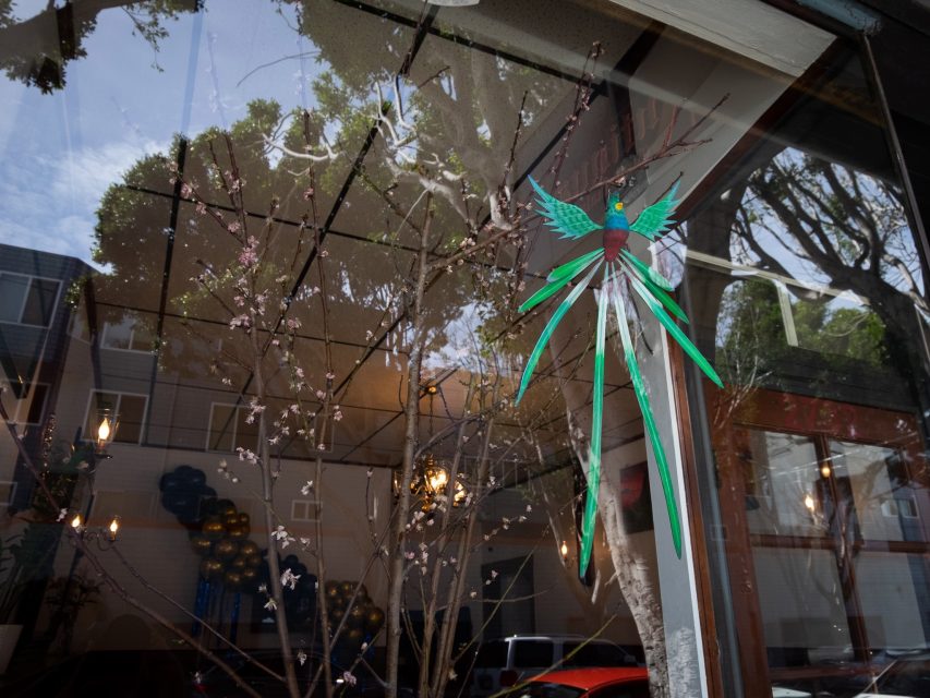A quetzal decoration hangs on a window with reflections of trees and buildings.