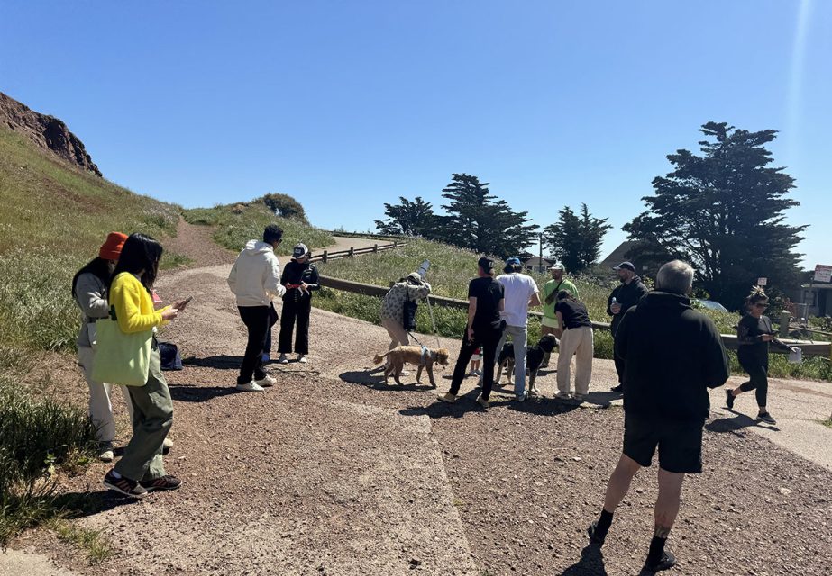 Group of people with a dog standing on a dirt path on a sunny day, some engaged in conversation while others walk by.